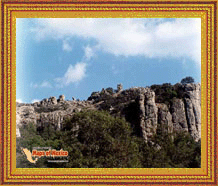 Clic aqui para ver las fotos de Calvillo, Aguascalientes, Mexico!