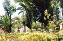 Jesus-maria-picture-of-mexico-2.jpg
