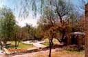 Jesus-maria-picture-of-mexico-4