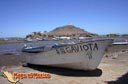 Mulege-baja-california-sur-mexico2.jpg