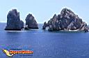 san-jose-del-cabo-picture-of-mexico-237.jpg