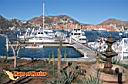 san-jose-del-cabo-picture-of-mexico-30.jpg