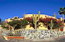 san-jose-del-cabo-picture-of-mexico-45.jpg