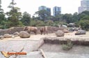 Chapultepec-picture-of-mexico-1.jpg