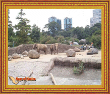 Clic aqui pata ver las fotos de Chapultepec, Mexico!