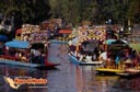 Xochimilco-picture-of-mexico-1.jpg