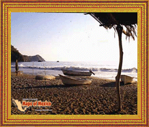 Clic aqui para ver las fotografias de La Manzanilla, Jalisco, Mexico!