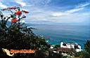puerto-vallarta-picture-of-mexico-6.jpg