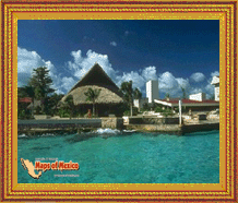 Clic aqui para ver las fotos de cozumel, Quintana Roo, Mexico!