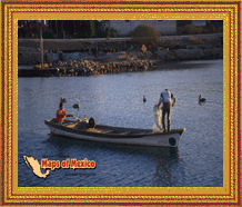 Clic aqui para ver las fotos de San Carlos Sonora, Mexico! 