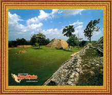 Clic aqui para ver mas fotos de Tabasco, Mexico!